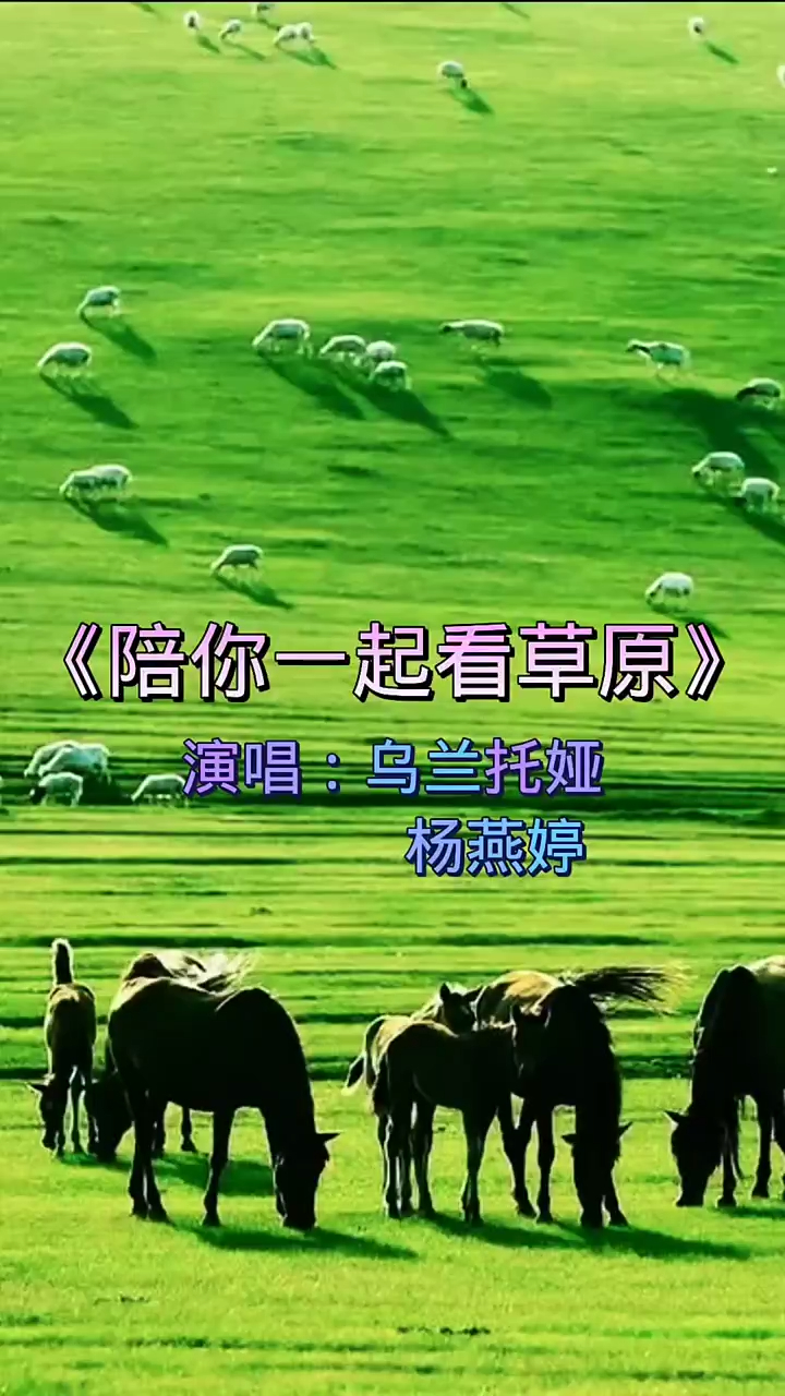 陪你一起看草原一首好听的草原歌曲美丽草原我的家