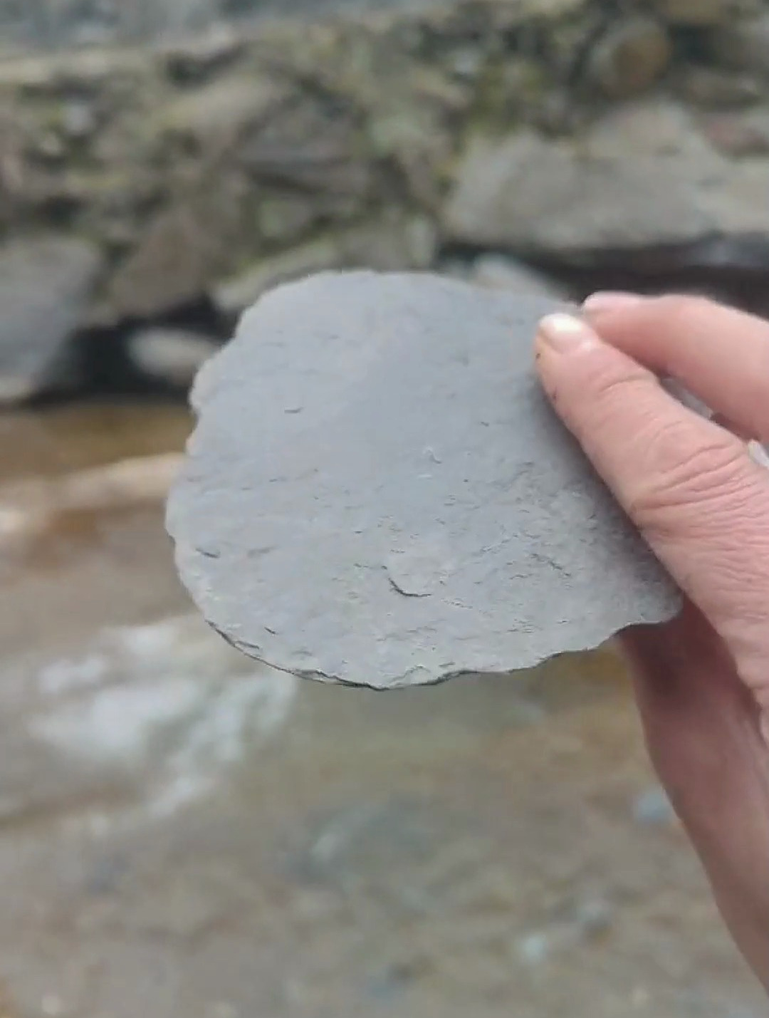 男子用极品石头打水漂结果网友捡回来给它道歉我没开玩笑