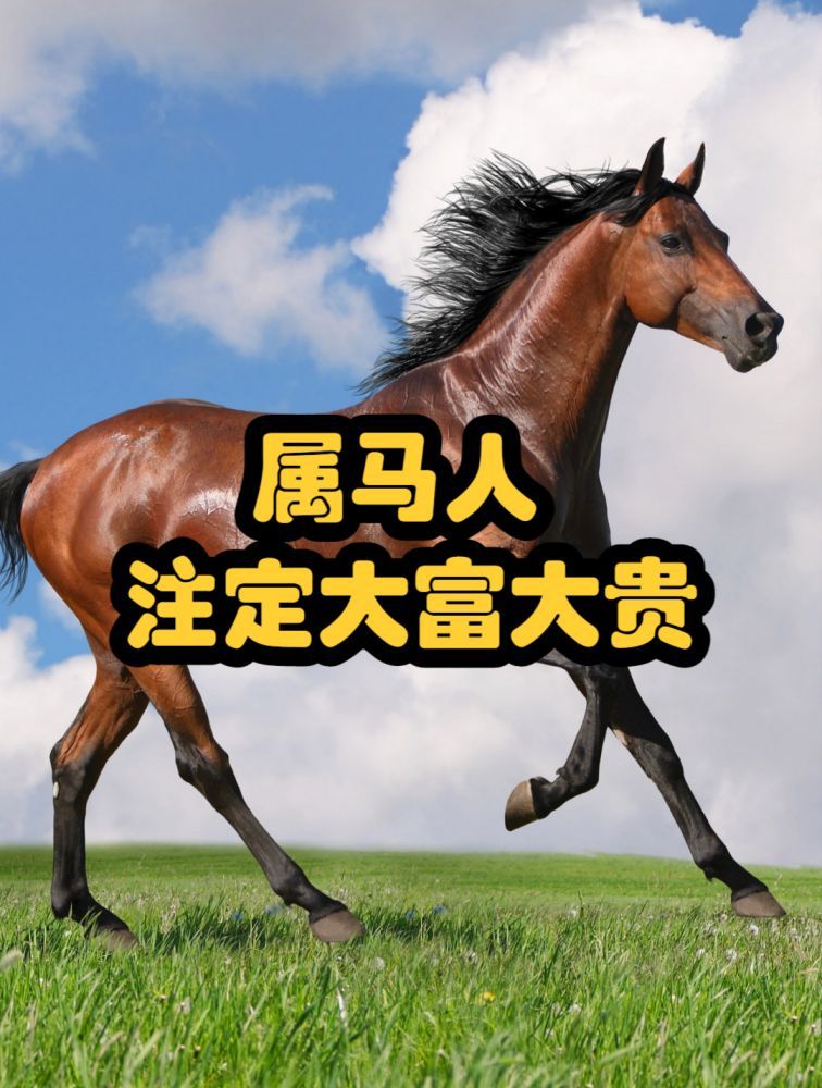 属马人注定大富大贵