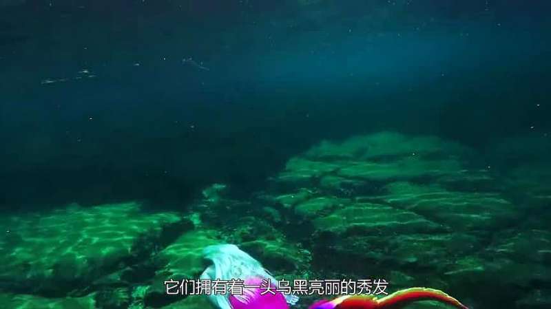 外国女子痴迷美人鱼 每天都给宝宝穿鱼尾巴 长大到底怎么走路 好看视频