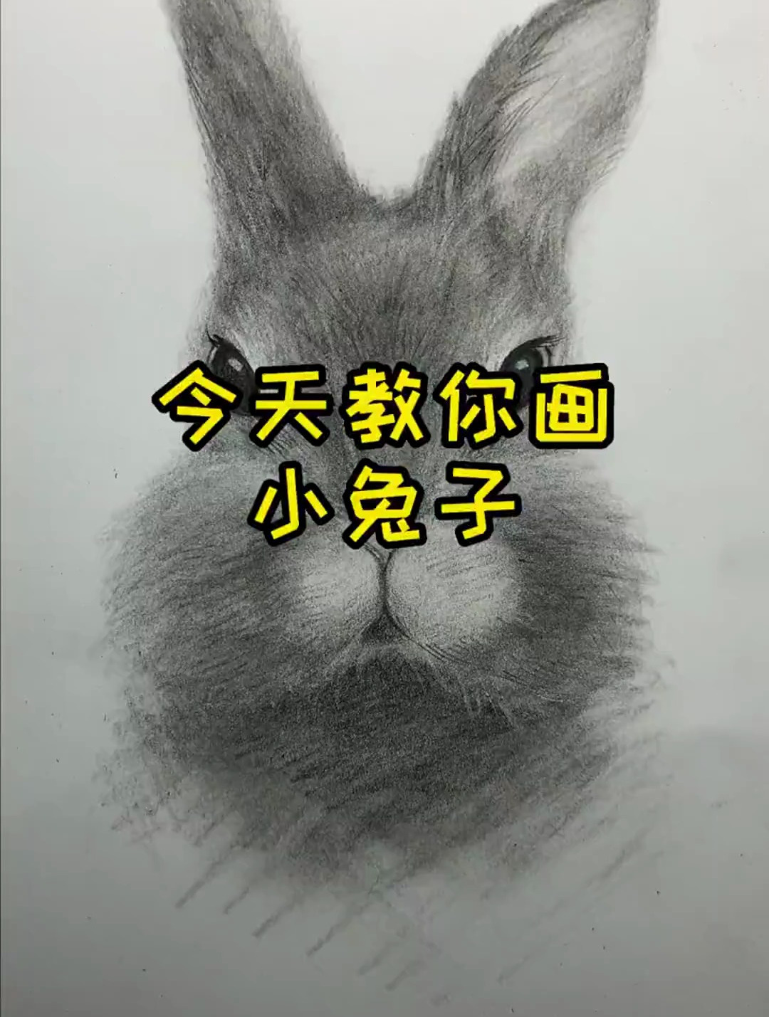 小白兔素描画初学者图片