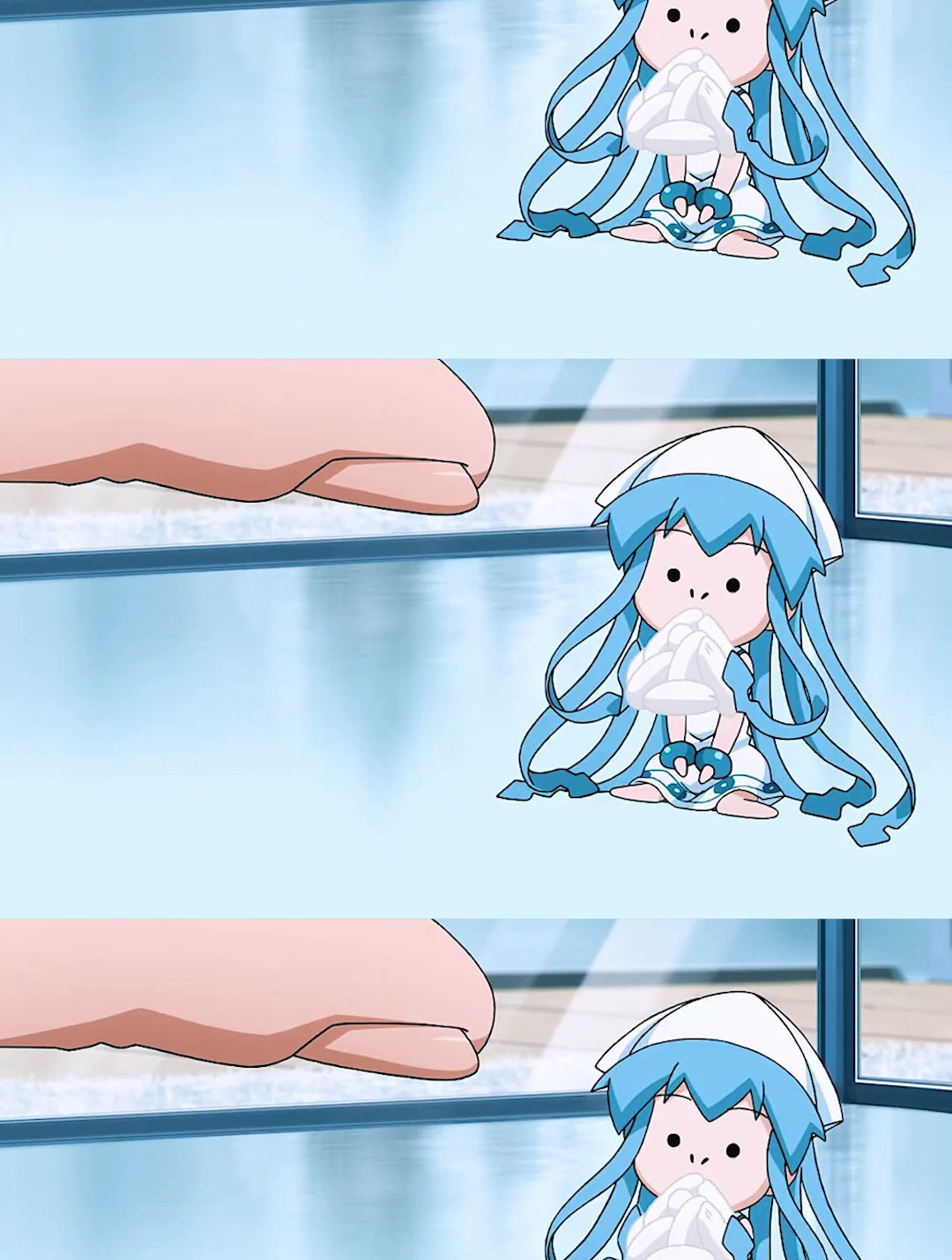 养一只乌贼娘是什么感觉