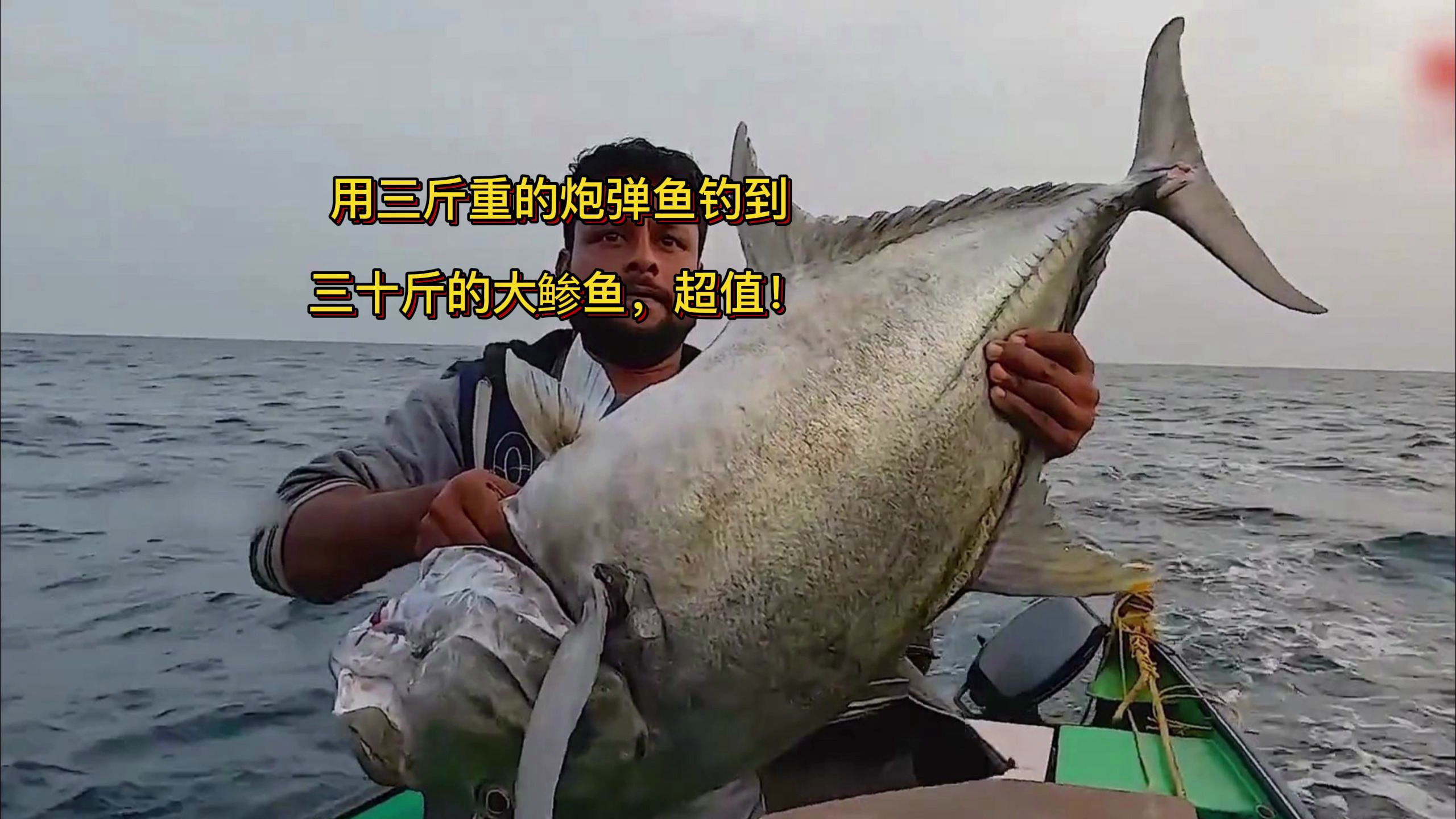用三斤重的炮弹鱼钓到三十斤的大鲹鱼,超值!