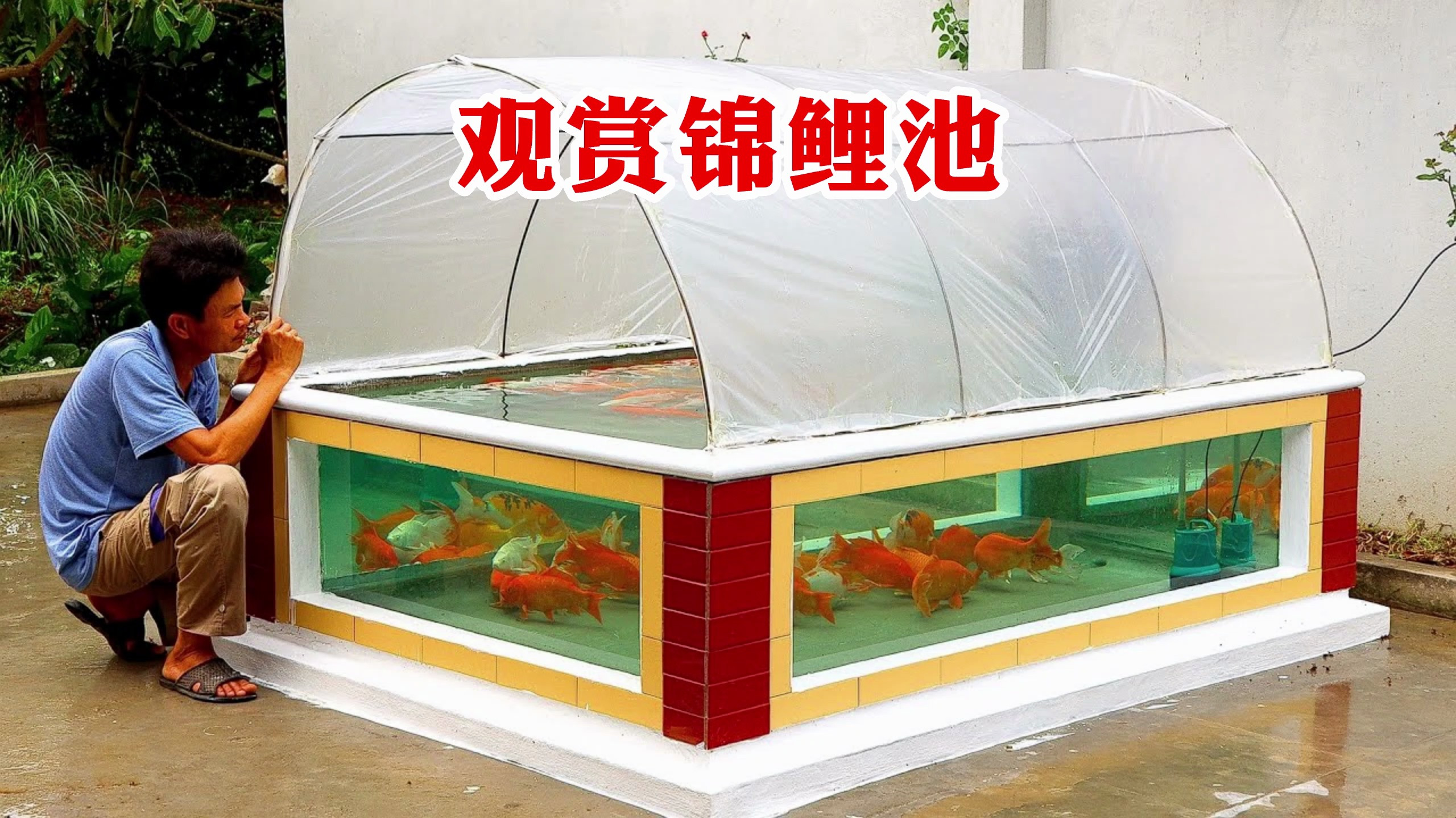 小伙在院子里徒手打造户外观赏锦鲤池,成品太惊艳了