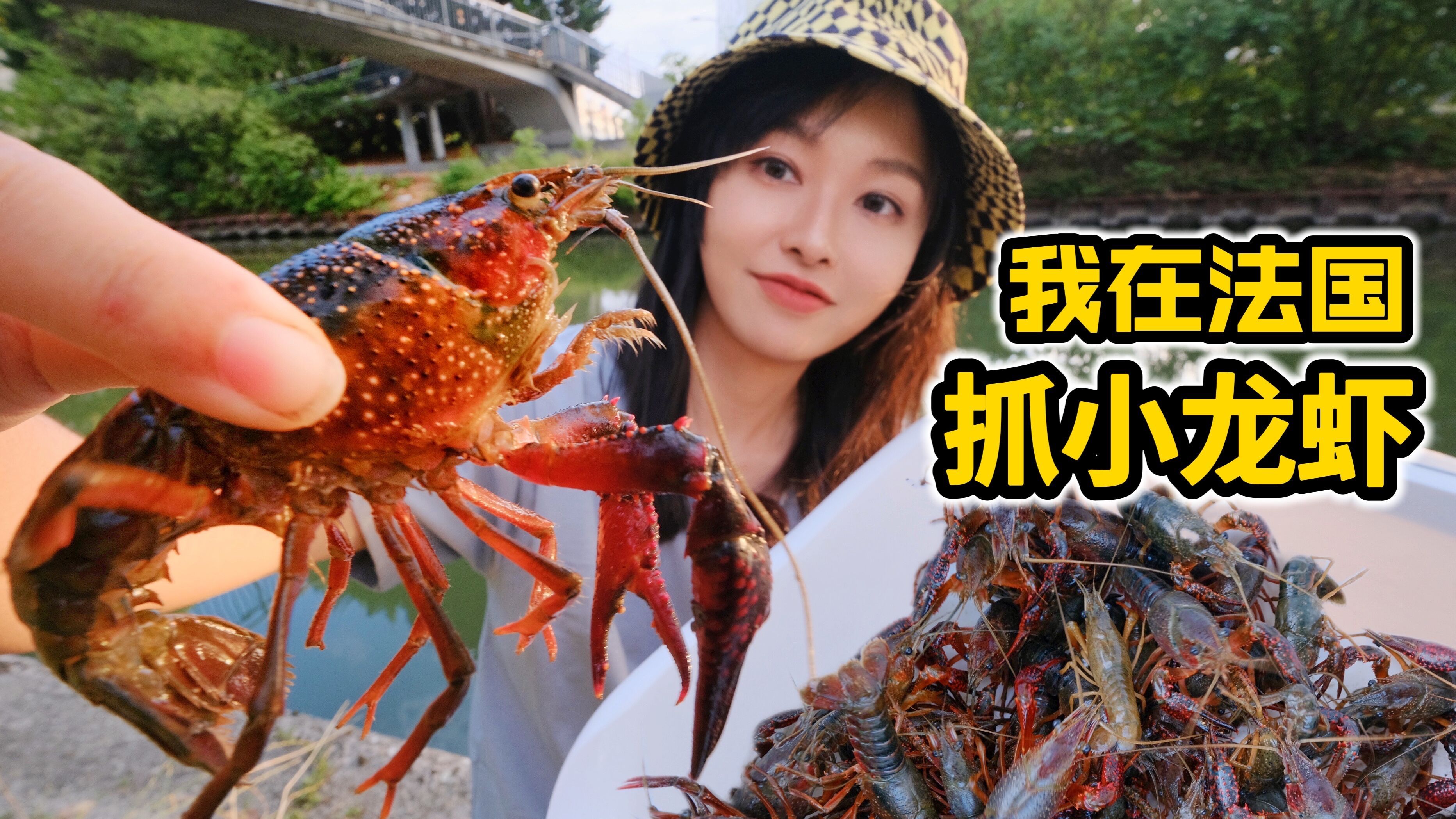 在法国抓小龙虾,轻松捕100只,做麻辣小龙虾香辣鲜美