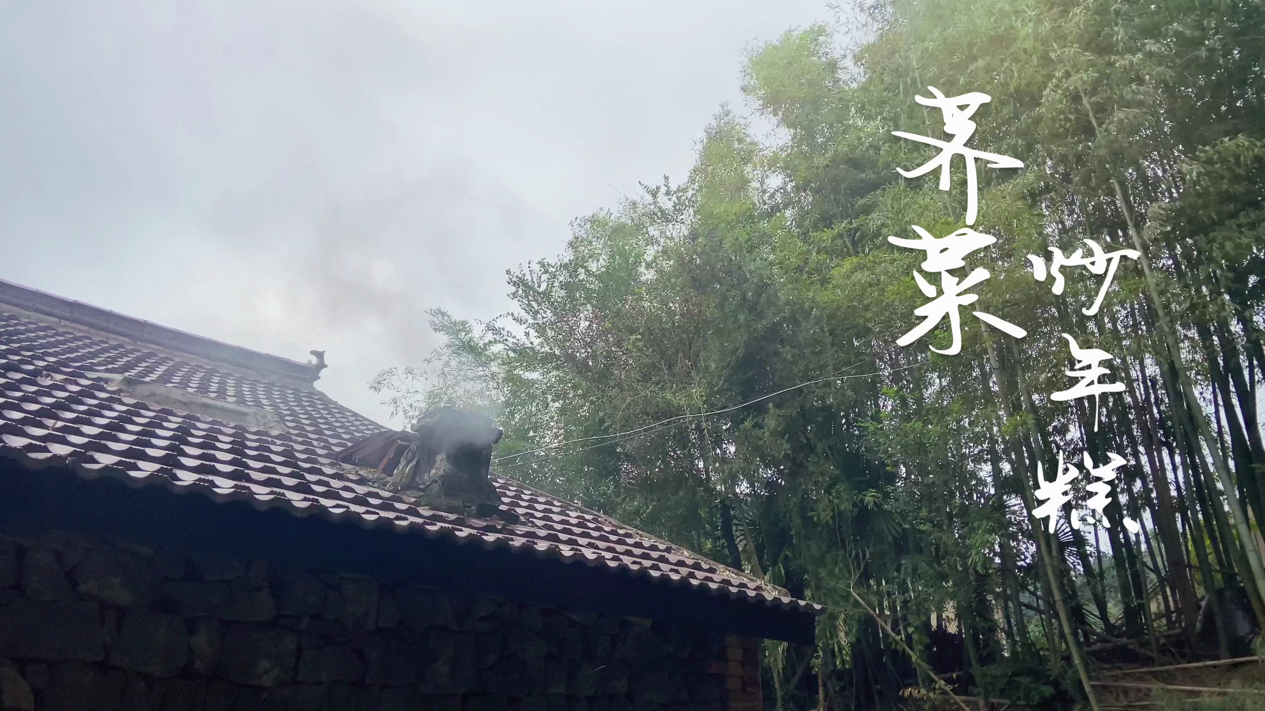 正当“食”！荠菜炒年糕，余姚人舌尖上的美味