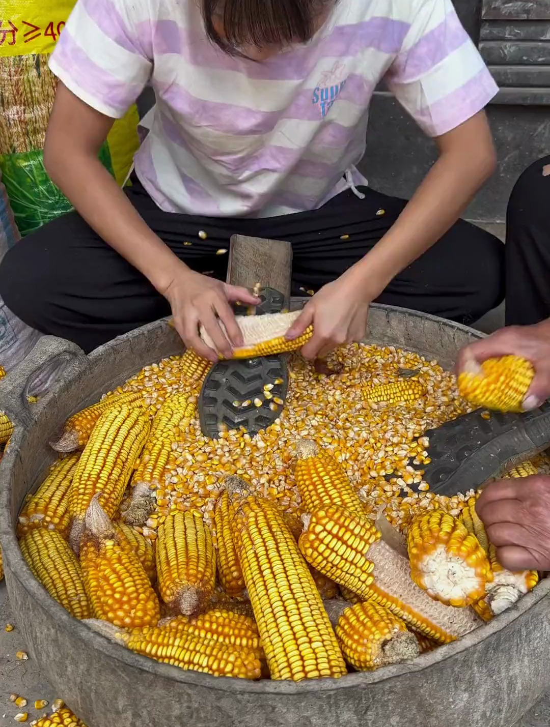 在我们农村剥玉米只需一双解放鞋,七秒就可以搞定一个玉米棒子
