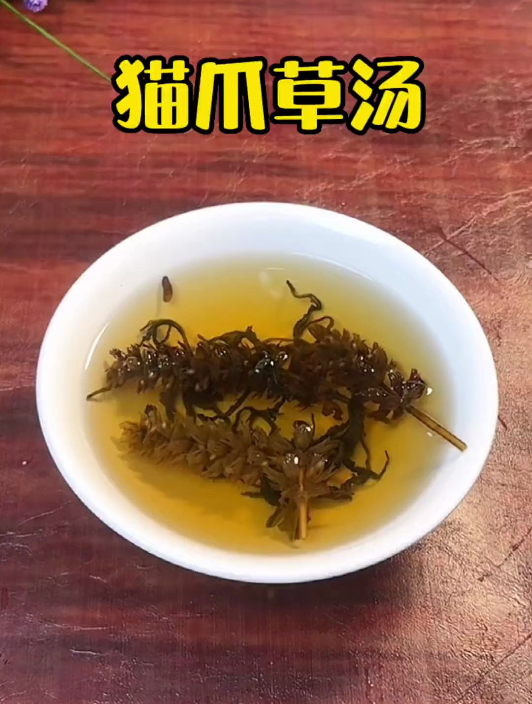 你知道猫爪草加上夏枯草的好处吗?快来看