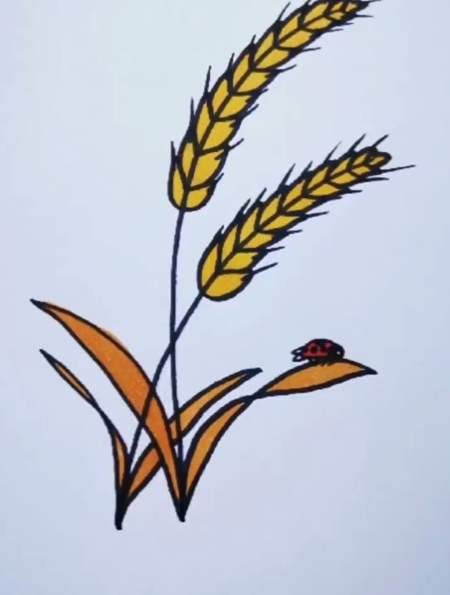 创意简笔画,这样画麦穗,学不会你打我-度小视