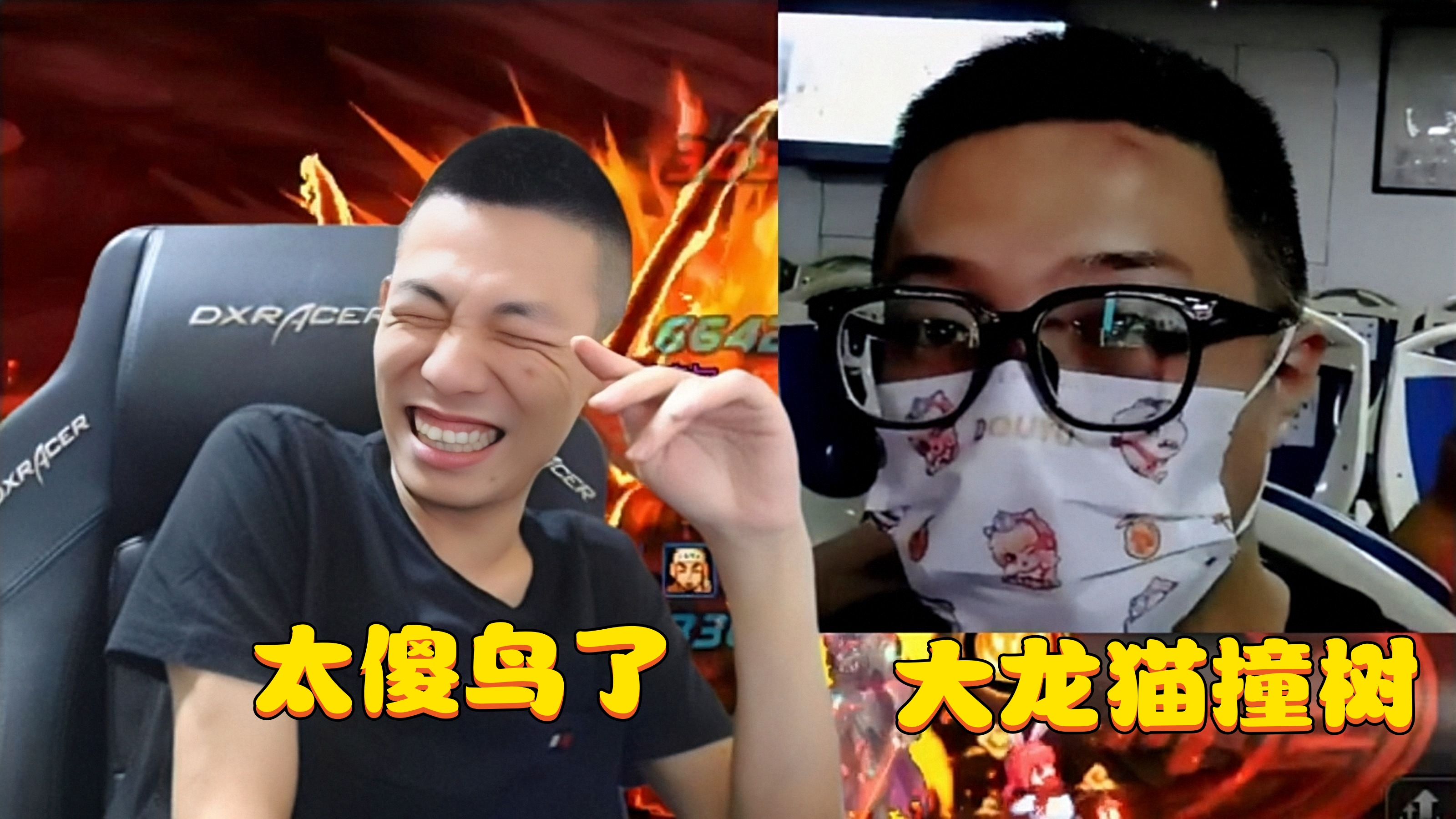 该来的还是来了,大龙猫撞树还是逃不过斗鱼大喇叭,宝哥笑崩了