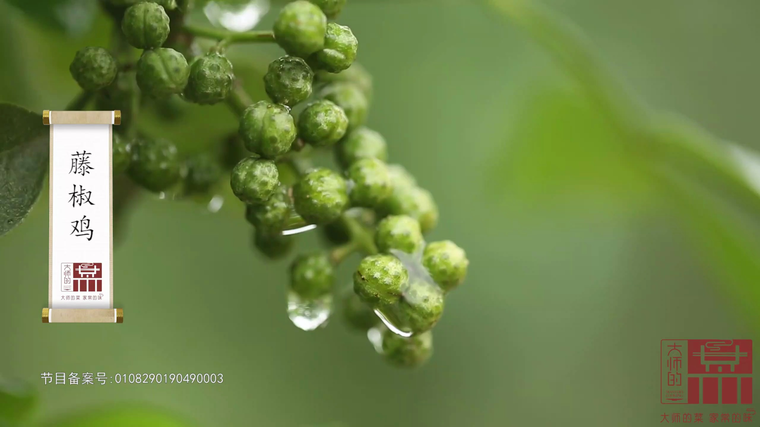 【大师的菜】藤椒风味的代表——藤椒鸡,鲜香麻辣,米饭杀手!