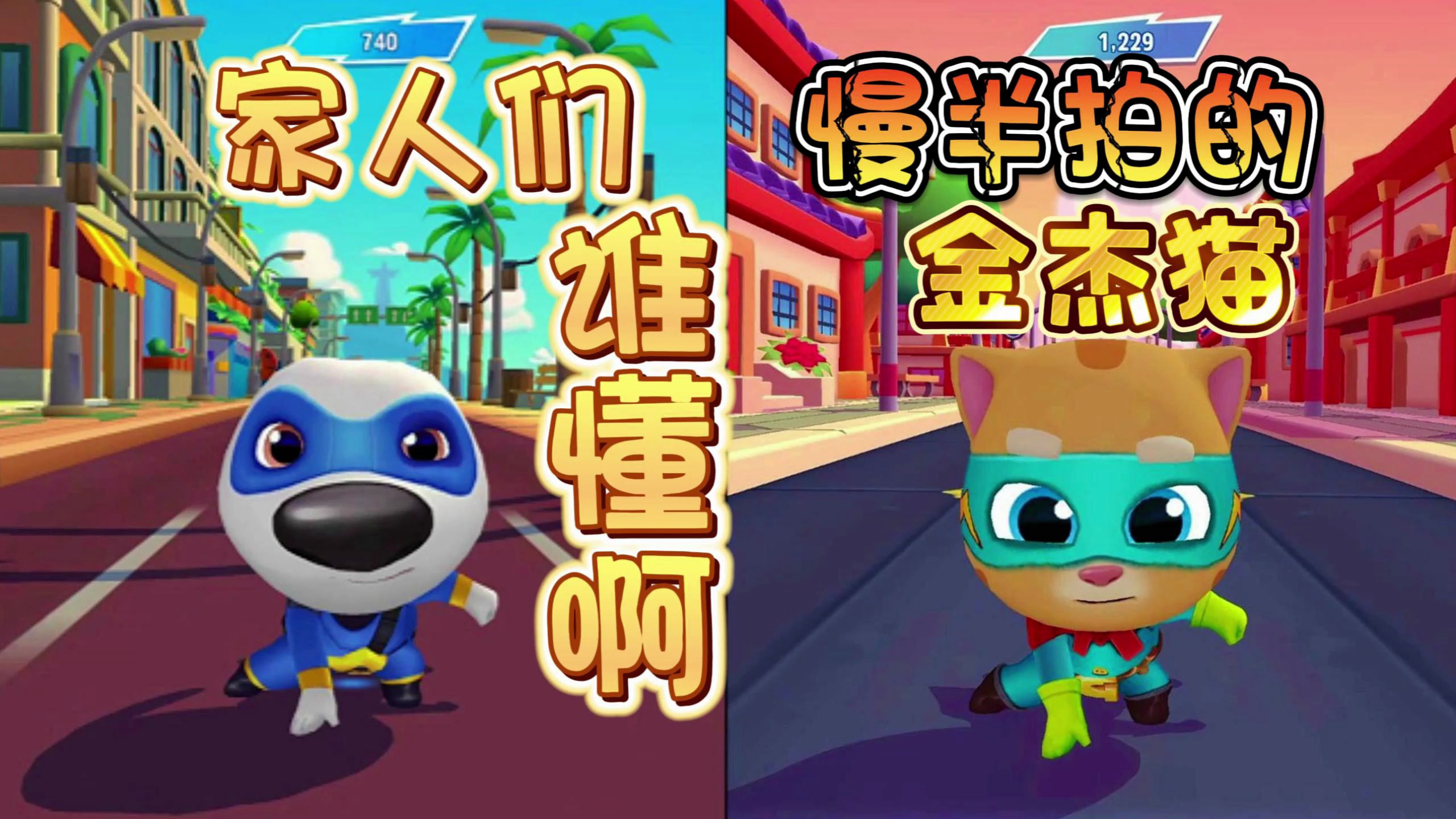 家人们,慢半拍的金杰猫谁懂啊