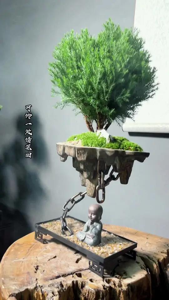 养树不养松,到老一场空!雾凇盆景好看又有禅意