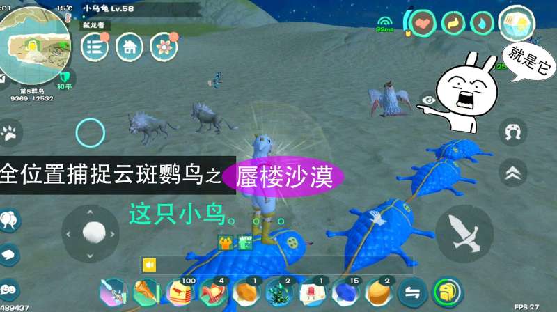 创造与魔法云斑鹦鸟位置之蜃楼沙漠这只小鸟的腿够瘸不