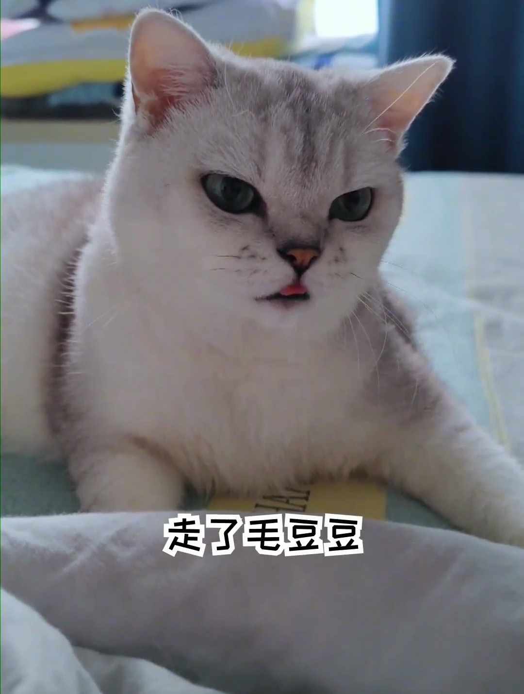 今天的治疗是为了明天更好的蹦迪