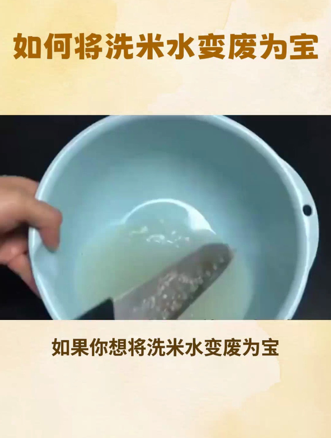 洗米水怎麼發酵做肥料