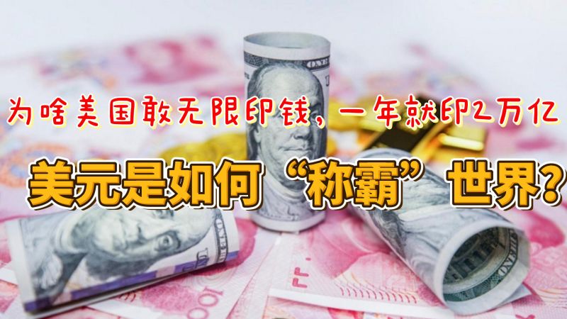 为啥美国敢无限印钱,一年就印2万亿!美元是如何“称霸”世界?,财经,国际经济,好看视频