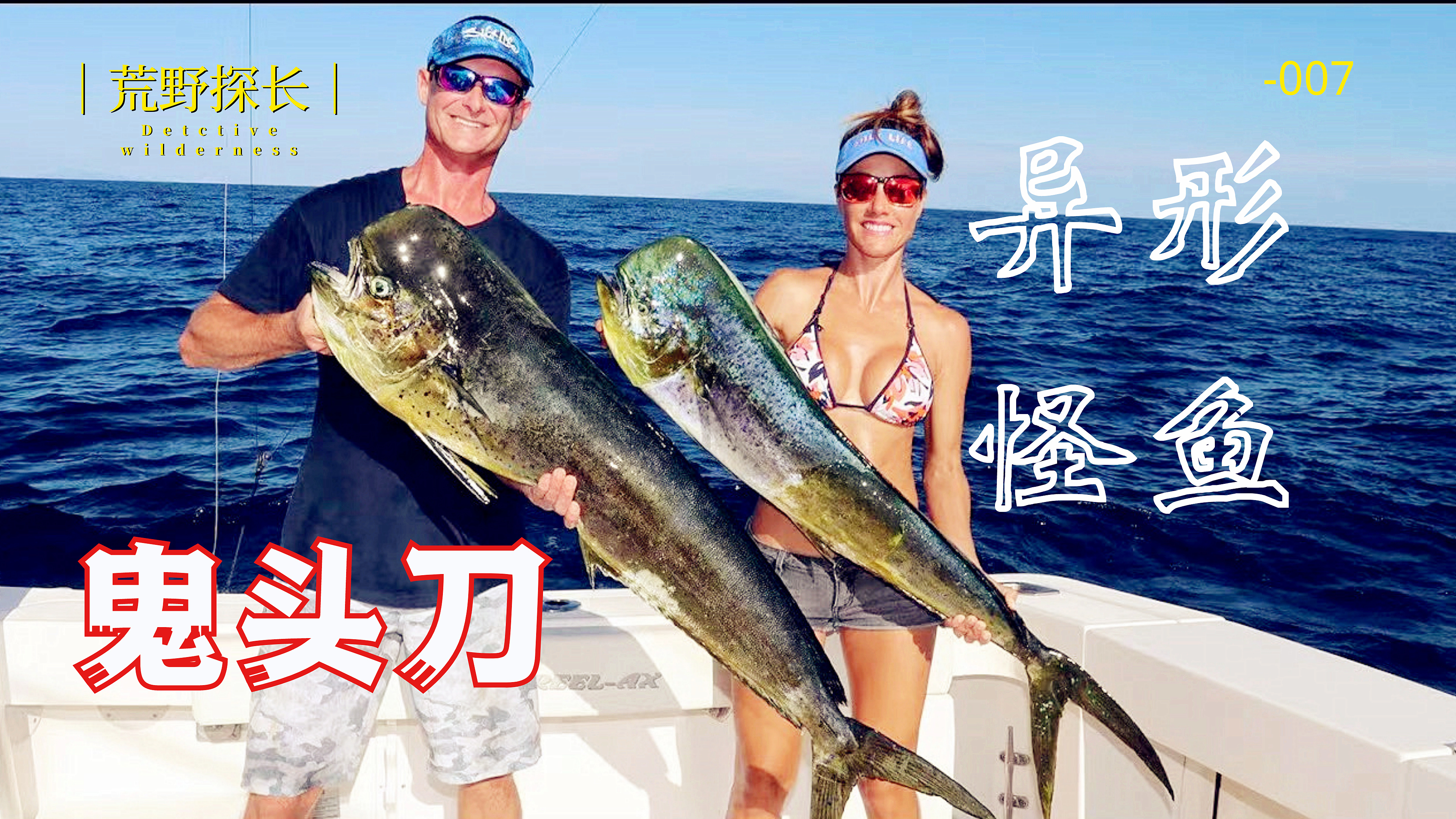 这种长得像异形的怪鱼,我敢说没几个人见过,真的是又怪又丑