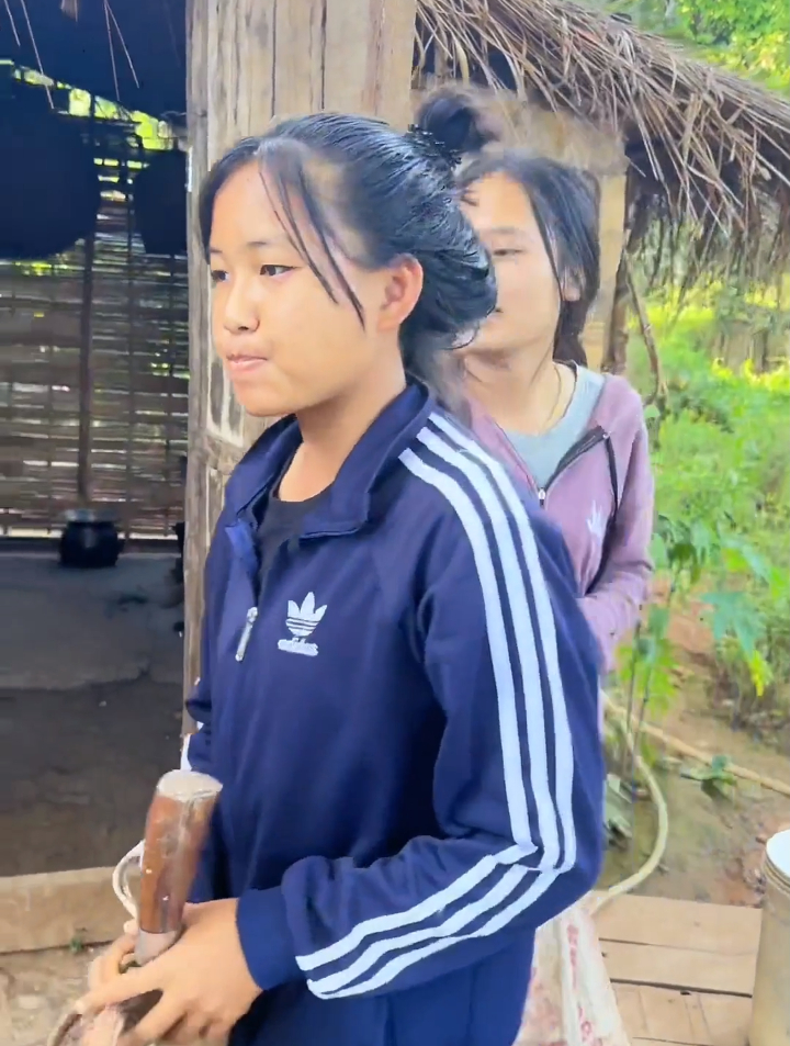 老挝姑娘亲手摘椰子