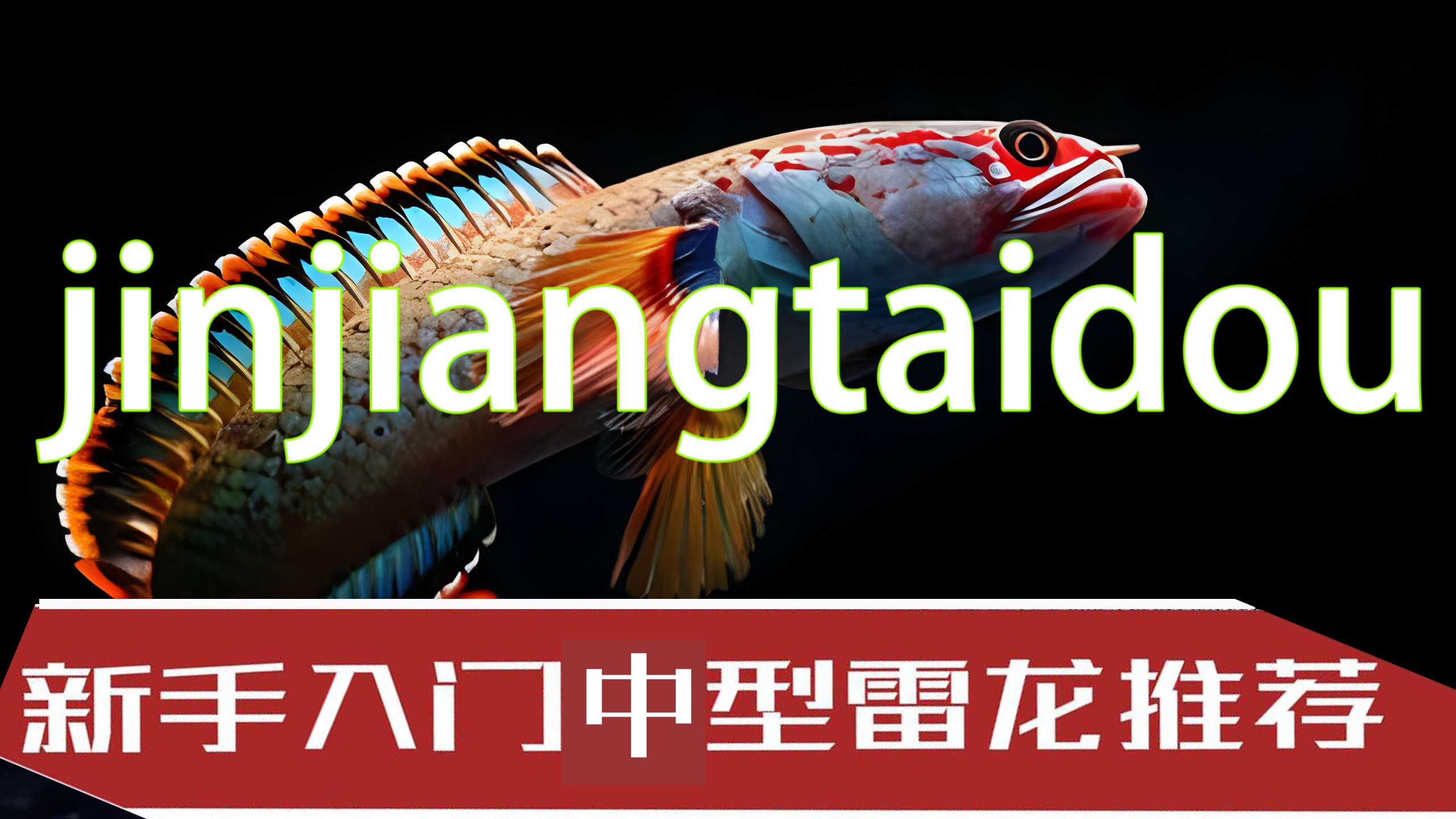 中型雷龙推荐,不知道怎么选的快来看看!