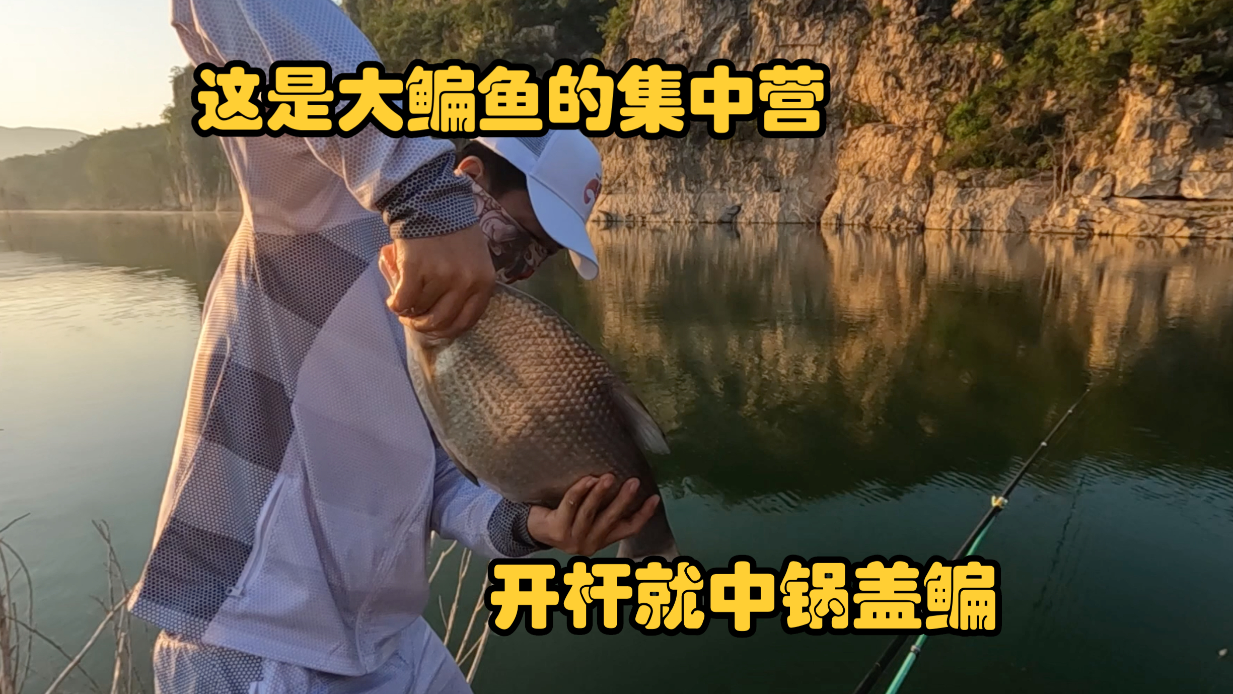这简直就是大武昌鱼的集中营,开竿就是锅盖鳊,这大鳊鱼真稀罕了