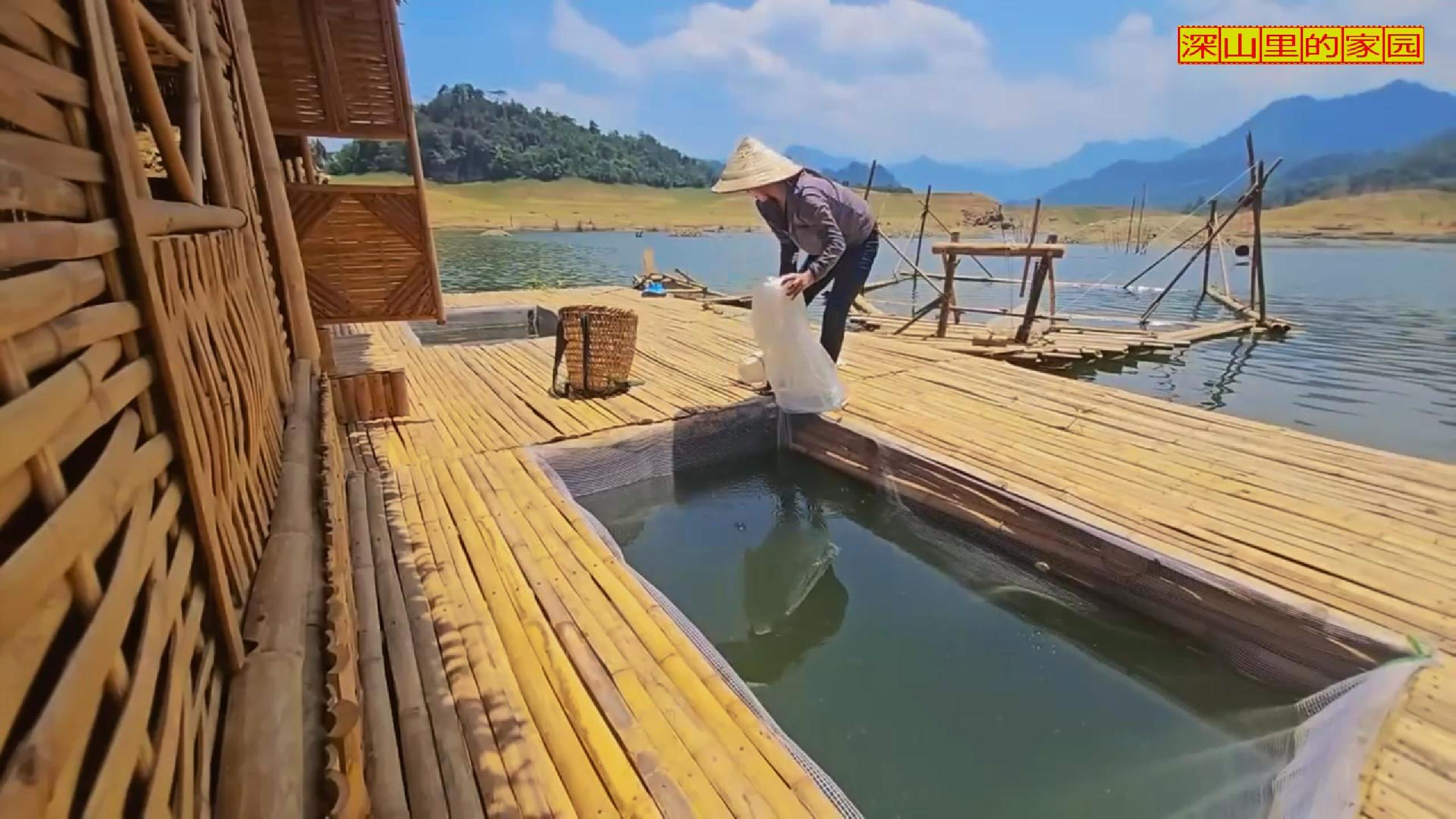 布置网箱,随身携带养鱼空间!水上人家的优势这不就来了吗?