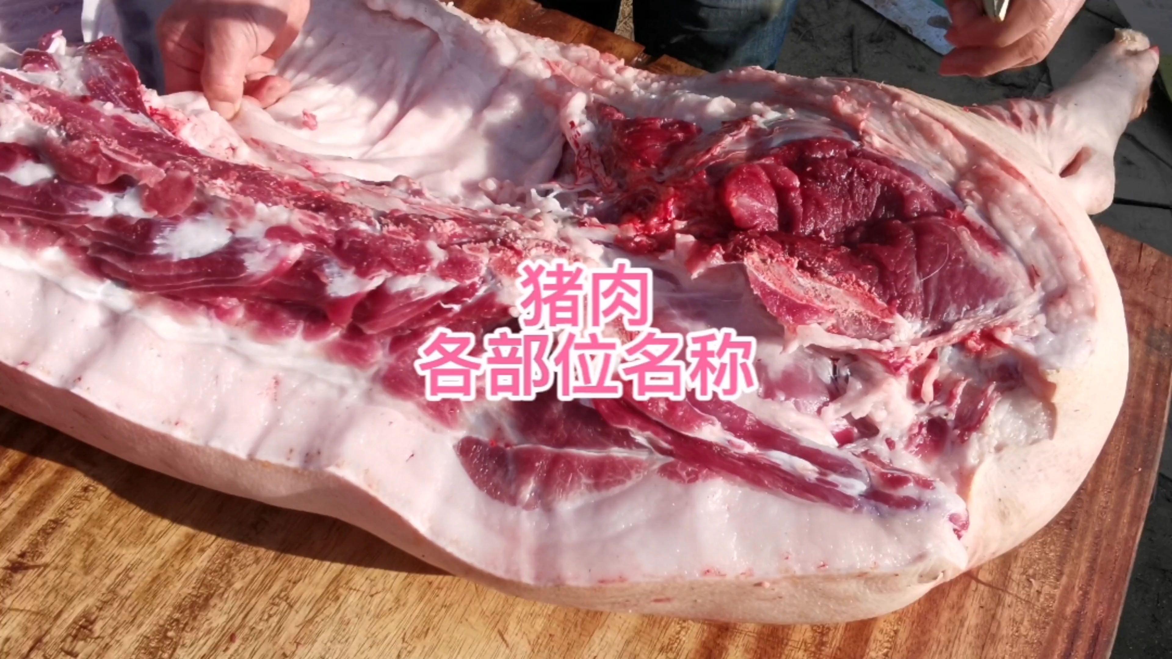 详细介绍猪肉各部位名称