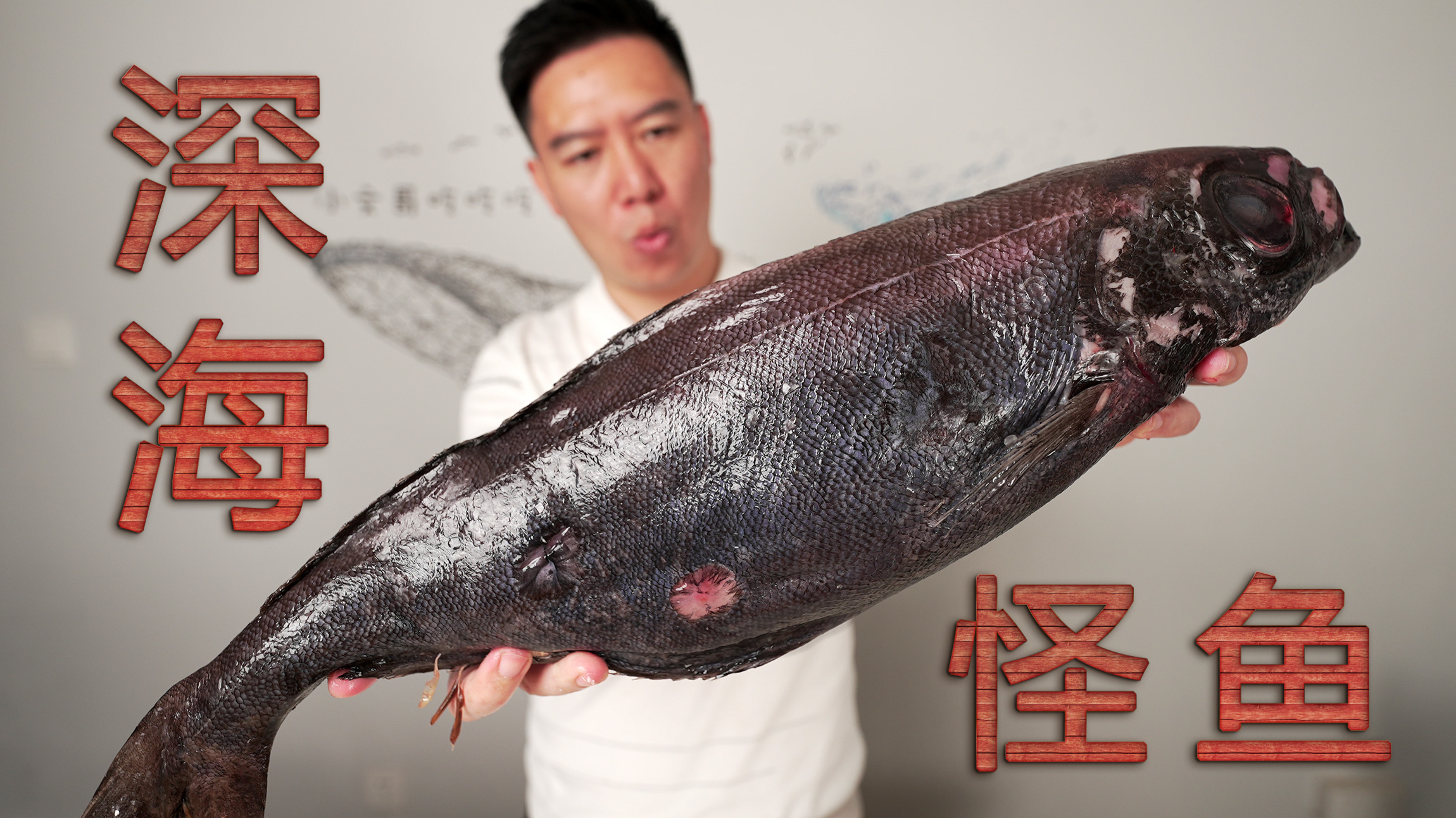 冒险试吃深海怪鱼，以为会屁股漏油，出锅后却赞不绝口