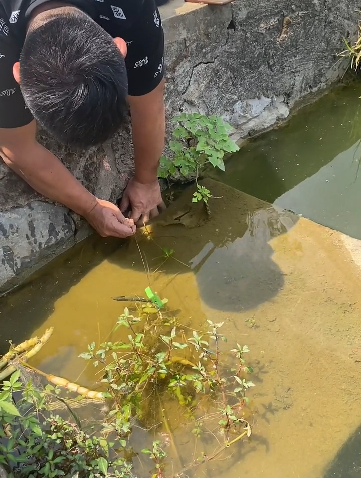 今天去釣黃鱔,以為收穫滿滿結果虧大了淚流滿面,戶外釣鱔魚-度小視