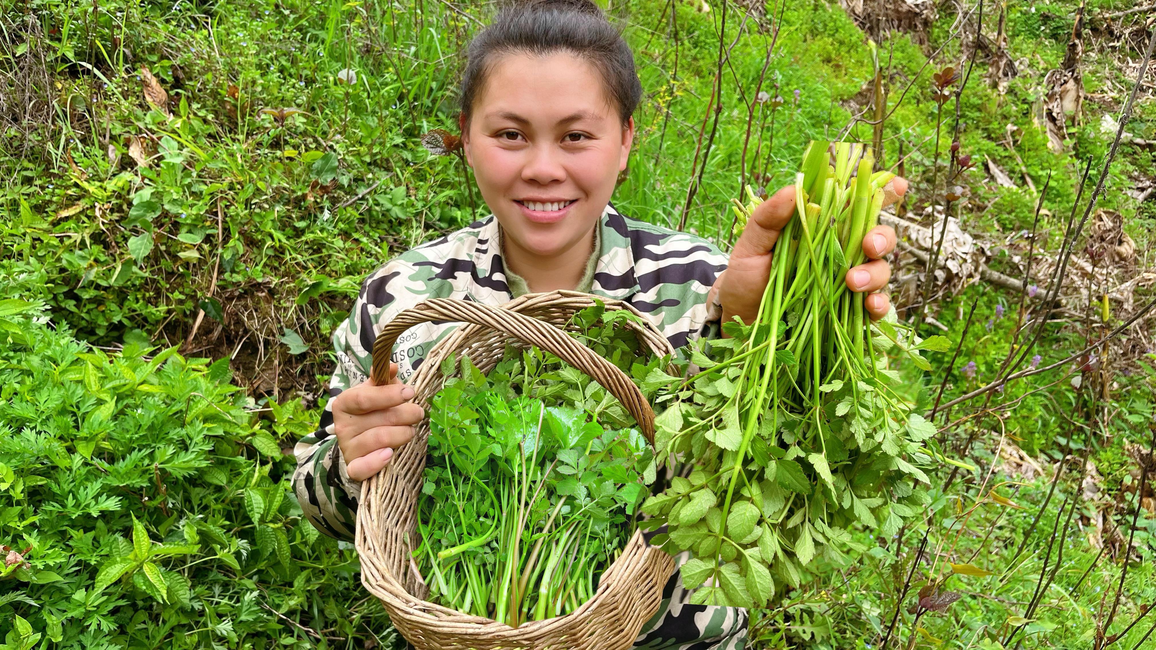 今天摘了很多野芹菜，回家拿块肉一起炒，加把辣椒香辣下饭吃到饱