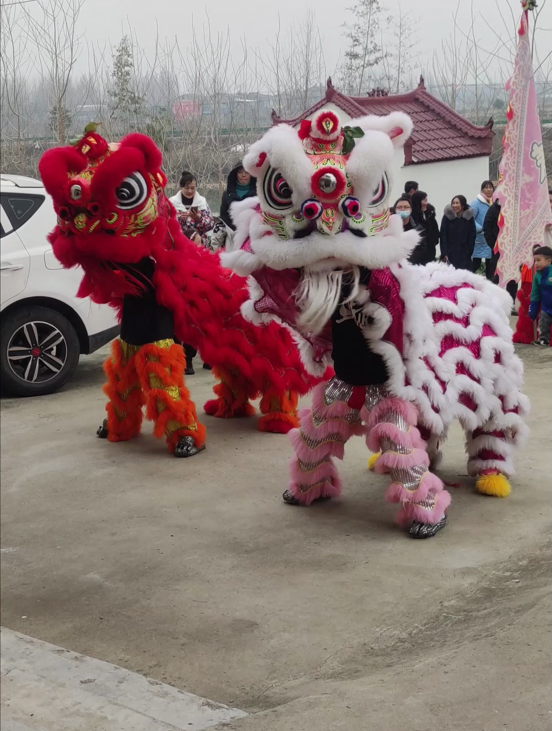 实拍3:兔年的年味——乡村舞狮,乡亲们很久没有这么热闹了-度小视