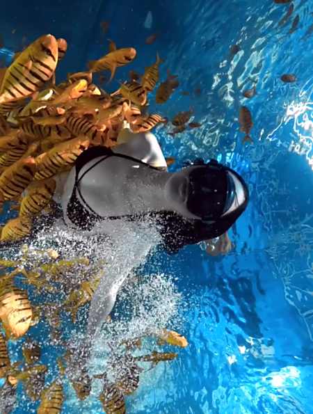 比基尼美女潜水,漂亮泳装高清水下跳舞,这大长腿谁顶得住!-度小视