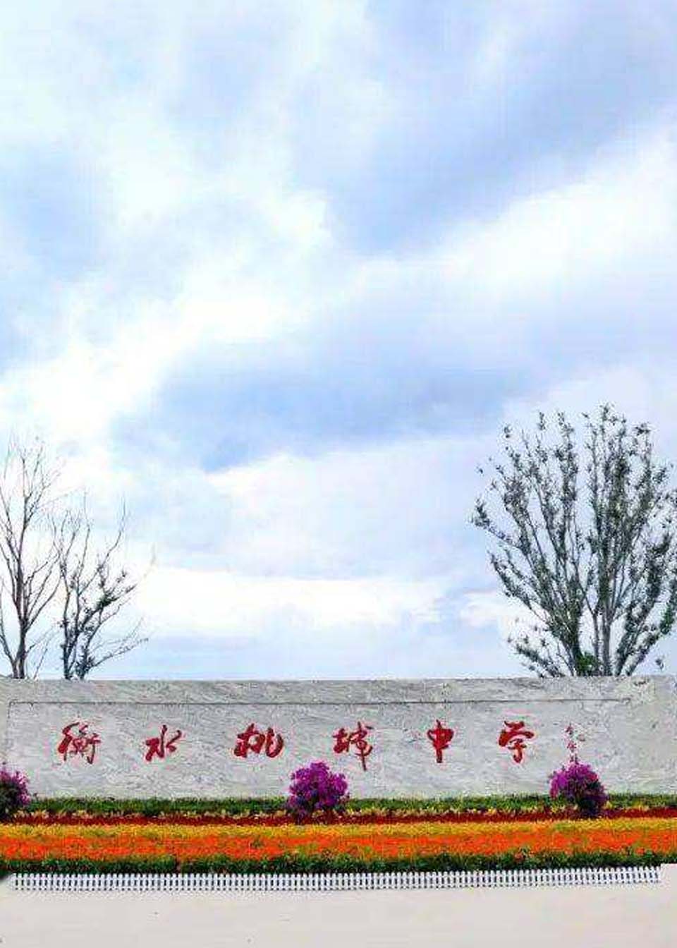 衡水桃城中学调查处理通报停止桃城中学2022年初中阶段招生