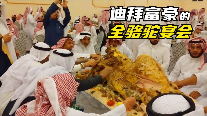 迪拜富豪家办喜事才有的骆驼宴,整头骆驼配着米饭,用手抓着吃!