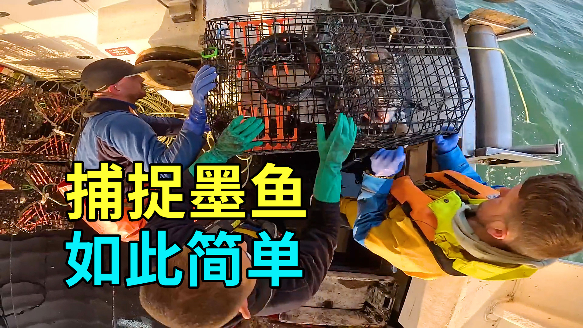 出海捕捞墨鱼,不用诱饵收获满满