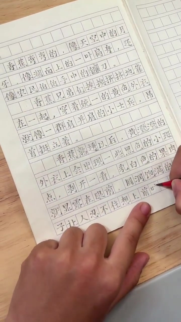 学会五感写作法孩子不再害怕写作文啦