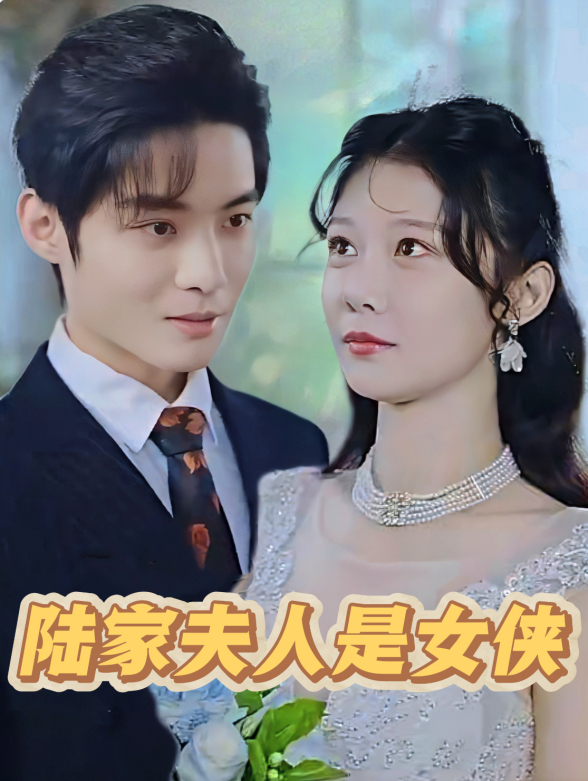 陆家夫人是女侠封面图