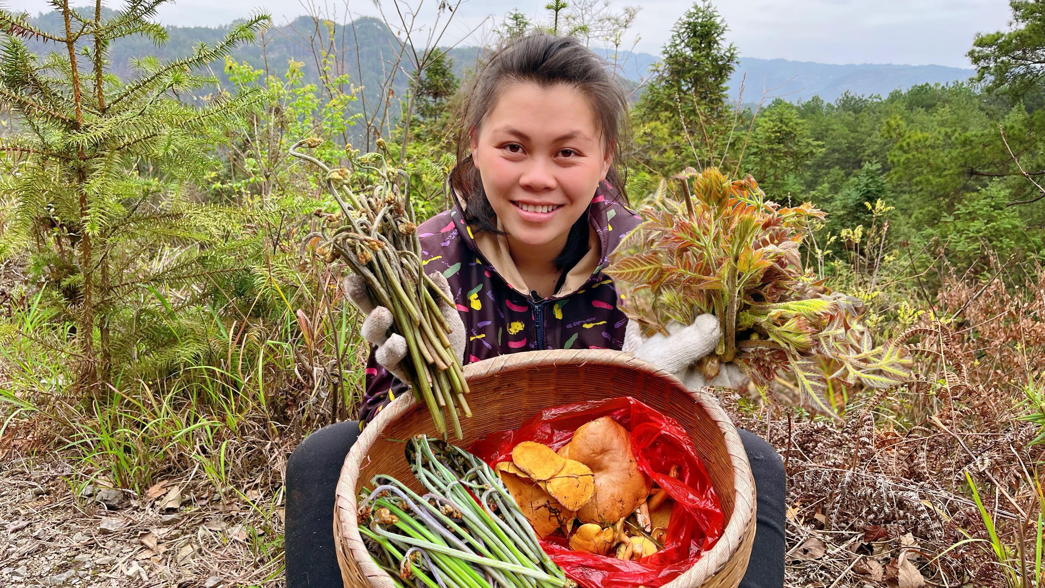 今天欧妹一人翻山越岭,摘到了很多蘑菇刺芽和蕨菜