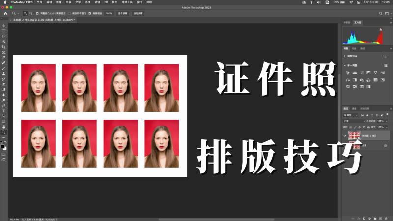ps教程:证件照排版与尺寸设置保姆级教程,教育,职业教育,好看视频
