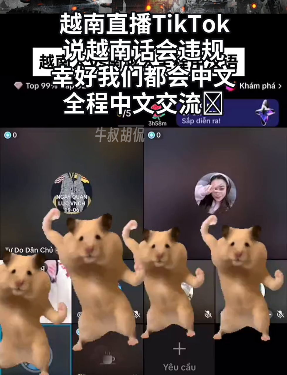 越南tiktok新手刚入门-越南tiktok中国