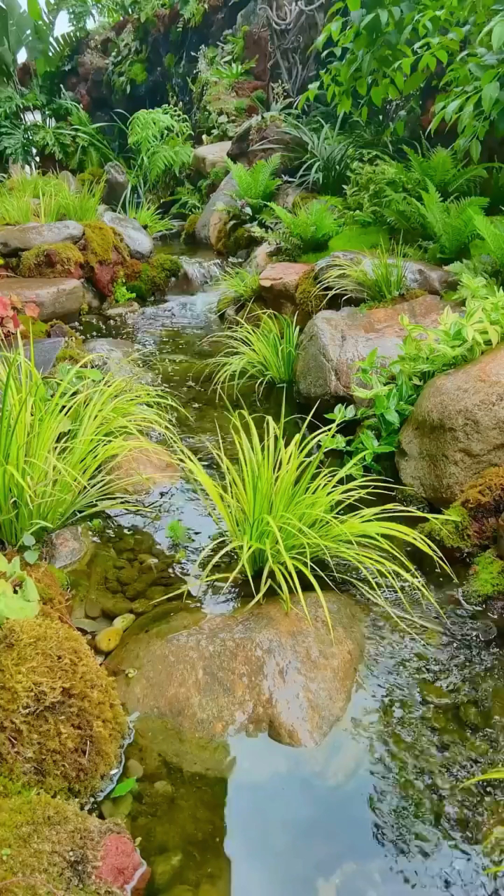 這不是野外,這是自然風庭院溪流駁岸造景!