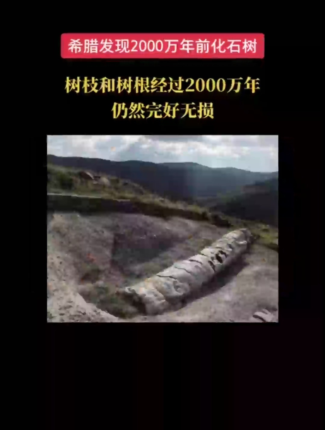 2000万年前图片