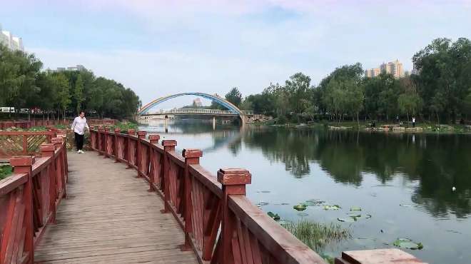 [图]夏日即景——清凉夏日，清爽怡人