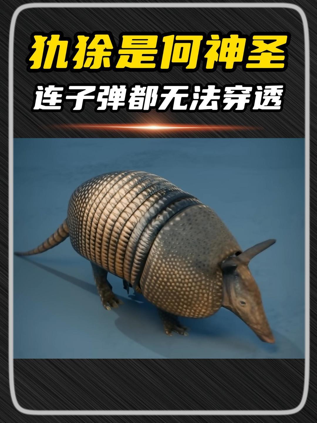 古代巨型犰狳图片