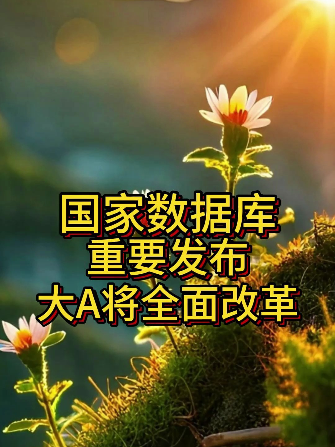 重要发布!大a将全面改革!统筹推进新局势!