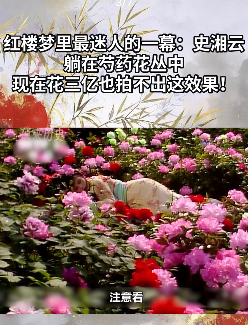 红楼梦里最迷人的一幕:史湘云躺在芍药花丛中,现在花三亿也拍不出这
