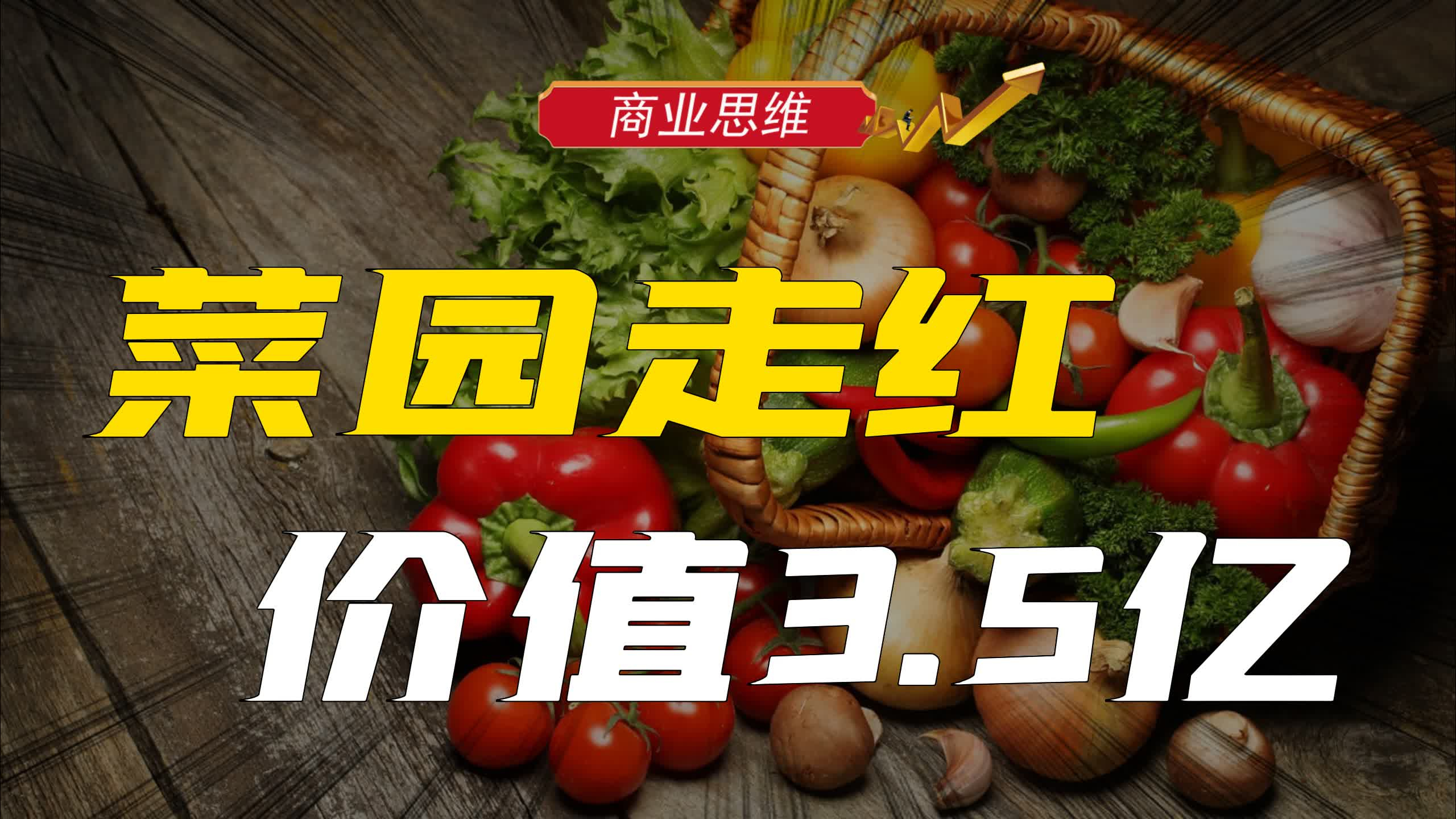 报纸大小的菜园,竟然价值3.5亿?