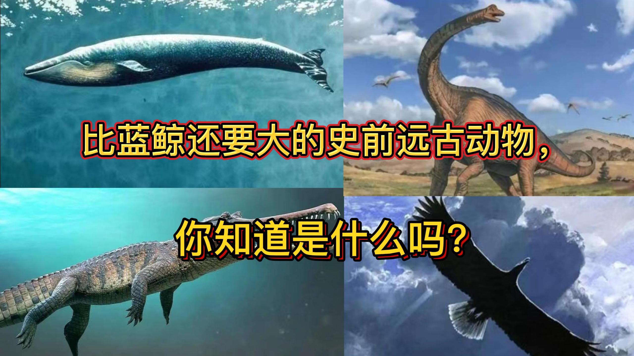 比蓝鲸还要大的远古生物,你知道是什么吗?