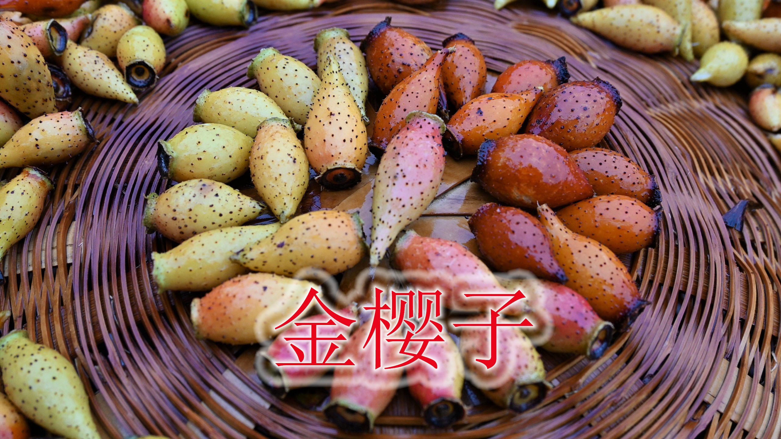 进山收获几斤金樱子,受男性朋友喜欢,用来泡酒有哪些好处?