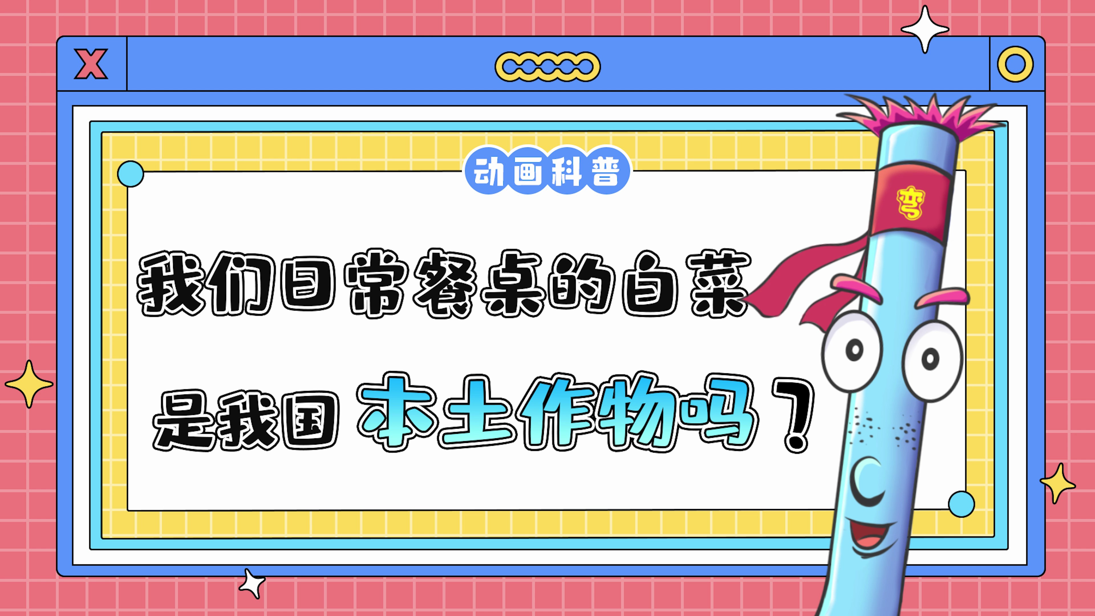 科普知识动画:我们日常餐桌上的白菜是我国本土作物吗?